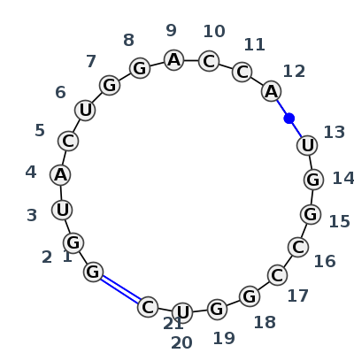 IL_15991.1