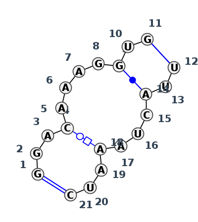 IL_35996.1