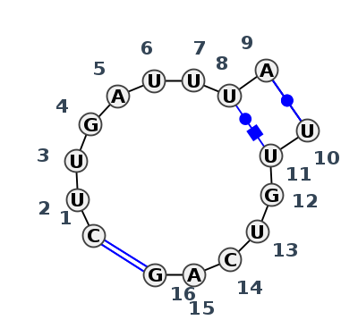 IL_43424.1