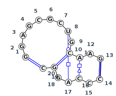 IL_60448.1