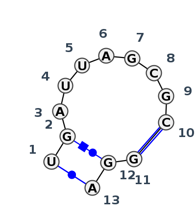IL_80209.1