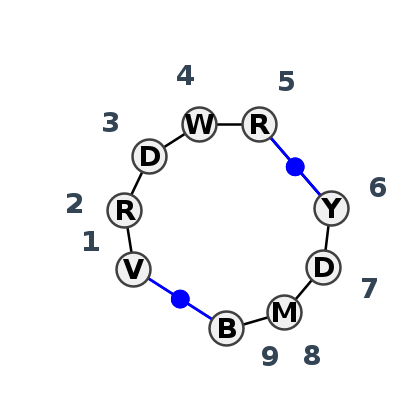 IL_05553.1