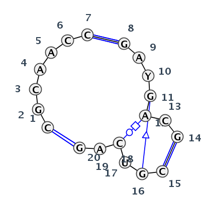 J3_08394.1