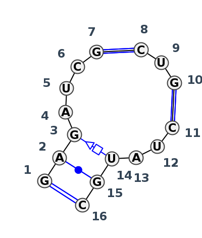 2D diagram