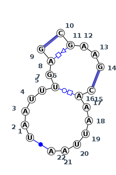 J3_09157.1