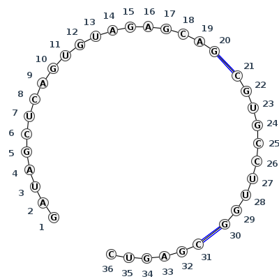 J3_08158.1