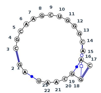 J3_01596.1