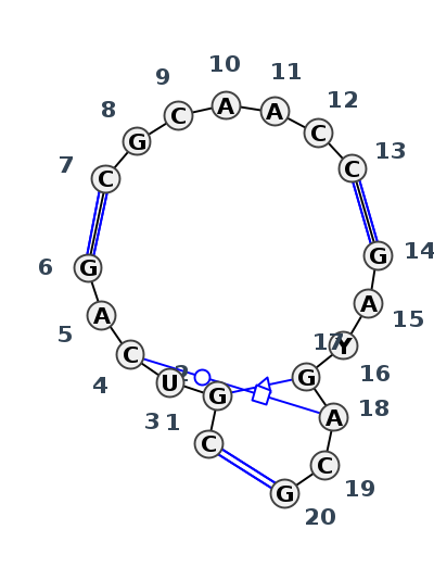 J3_01343.1
