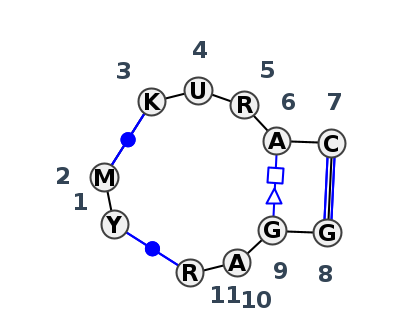J3_04521.1