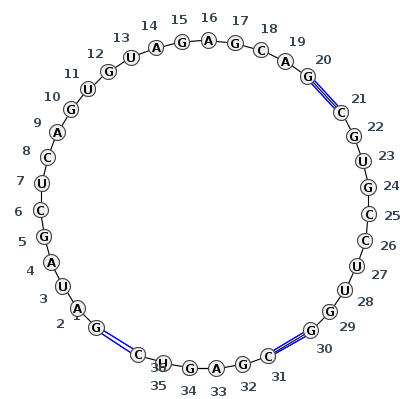 J3_08158.1