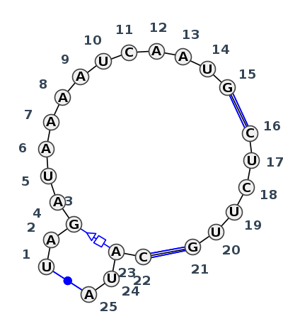 J3_93261.1