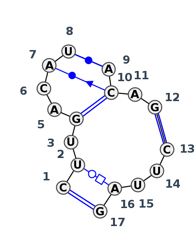 J3_28881.1