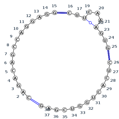 2D diagram