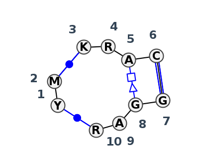 J3_04521.1