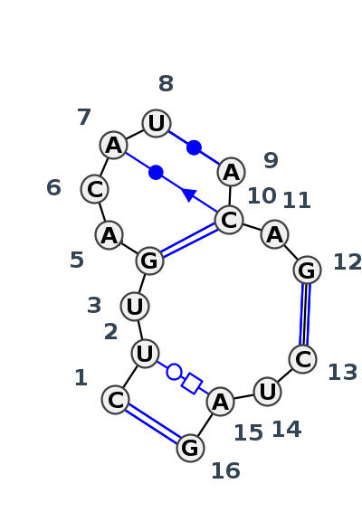 J3_28881.1