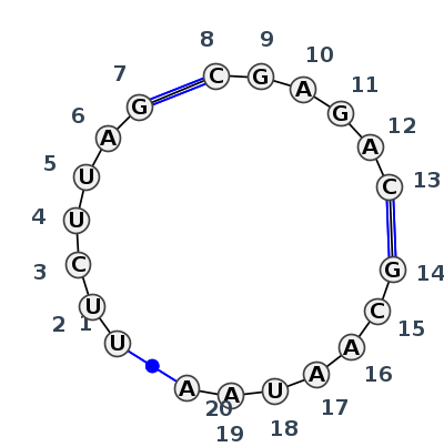 J3_05084.1
