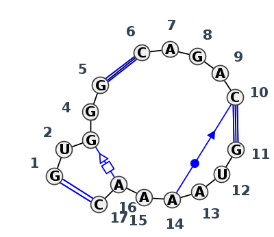 J3_14339.1