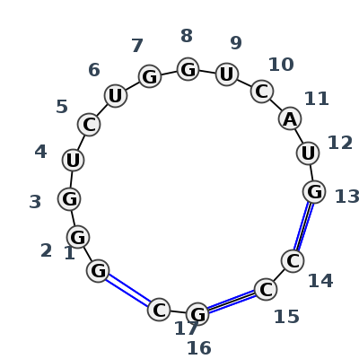 2D diagram