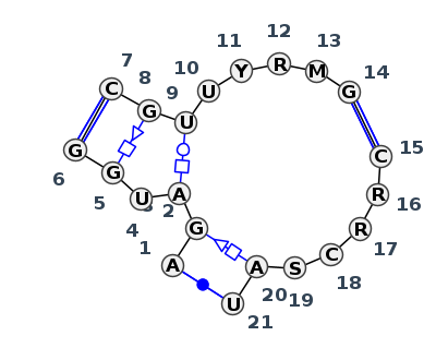 J3_53783.1