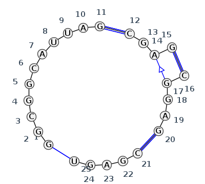 J4_20770.1