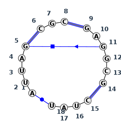 J4_13620.1