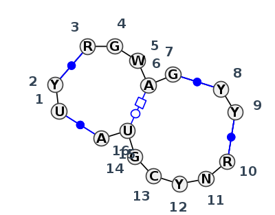 2D diagram