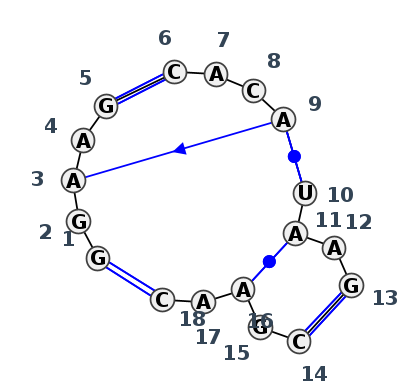 J4_24291.1