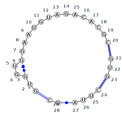 J4_04237.1