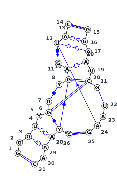J5_31814.1