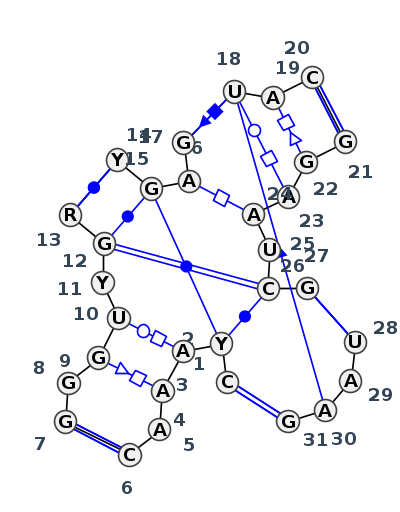 J5_31814.1