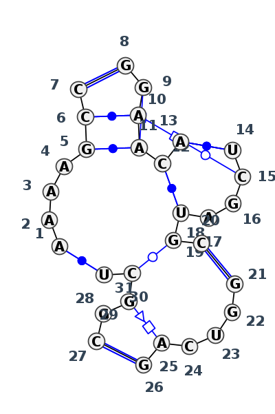 J5_30741.1