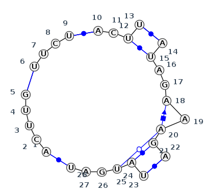 J5_02711.1