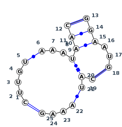 J5_19320.1