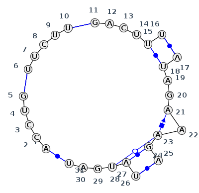J5_11070.1