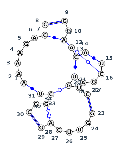 J5_35610.1