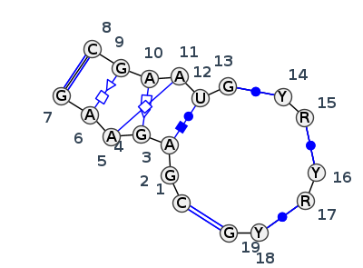 J5_75459.1