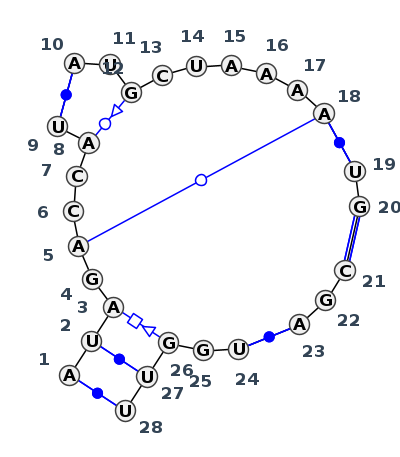 J5_50410.1