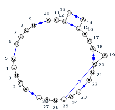 J5_47977.1