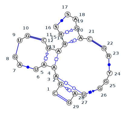 J7_21233.1